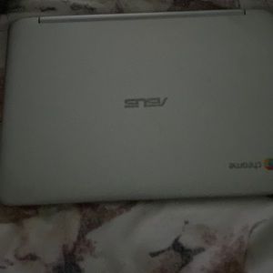 Chrome book flexible